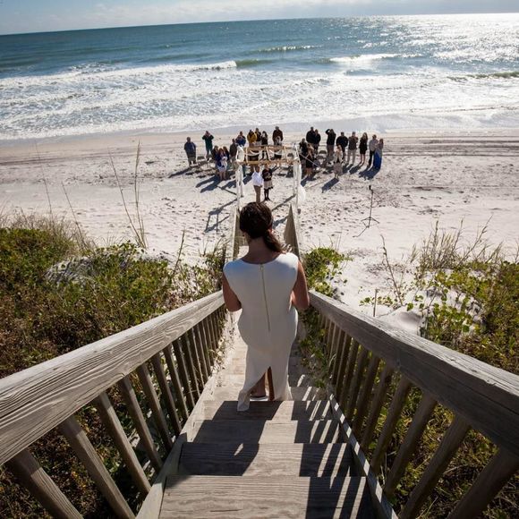 Meet your Posher, Darcy - Picture 1 of 1